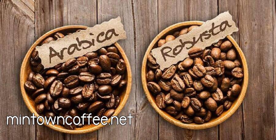 giá cà phê robusta và arabica