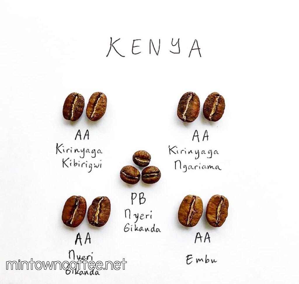 cà phê Kenya